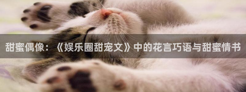888贵宾会官网