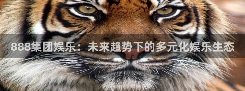 888贵宾会官网