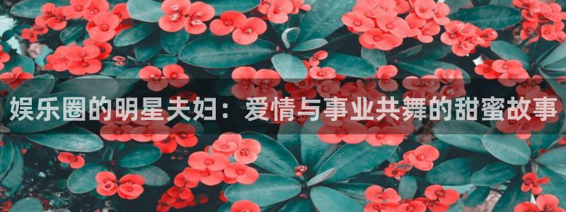 888贵宾会官网