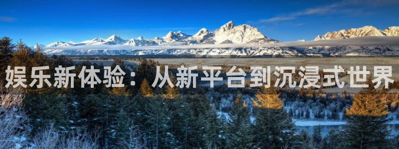 888贵宾会官网